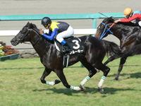 阪神9R　甲東特別（1000万）