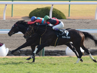 京都9R　花見小路特別（1000万）