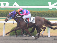 京都4R　障害未勝利