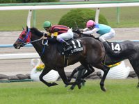 京都8R　鷹ヶ峰特別（1000万）